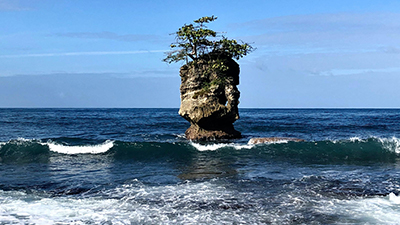 manzanillo